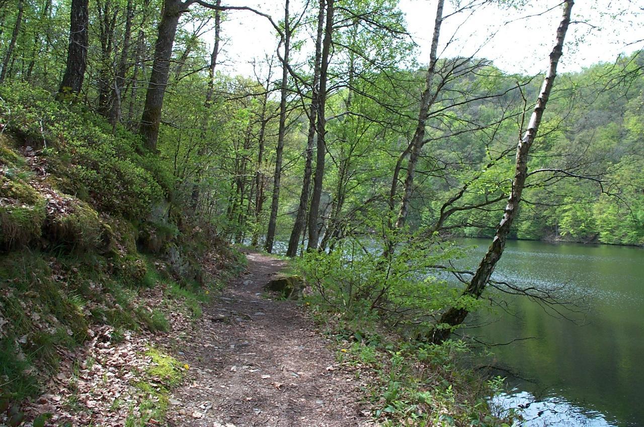 Holiday Home A Pas De Loup La-Roche-en-Ardenne Eksteriør billede